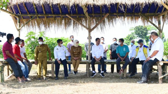 Presiden Jokowi berdialog dengan petani pada Peluncuran Lumbung Pangan Berbasis Mangga dan Taksi Alsintan, di Gresik, Jatim, Senin (22/08/2022).