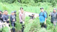 Polda Aceh musnahkan 4 Ha ladang ganja