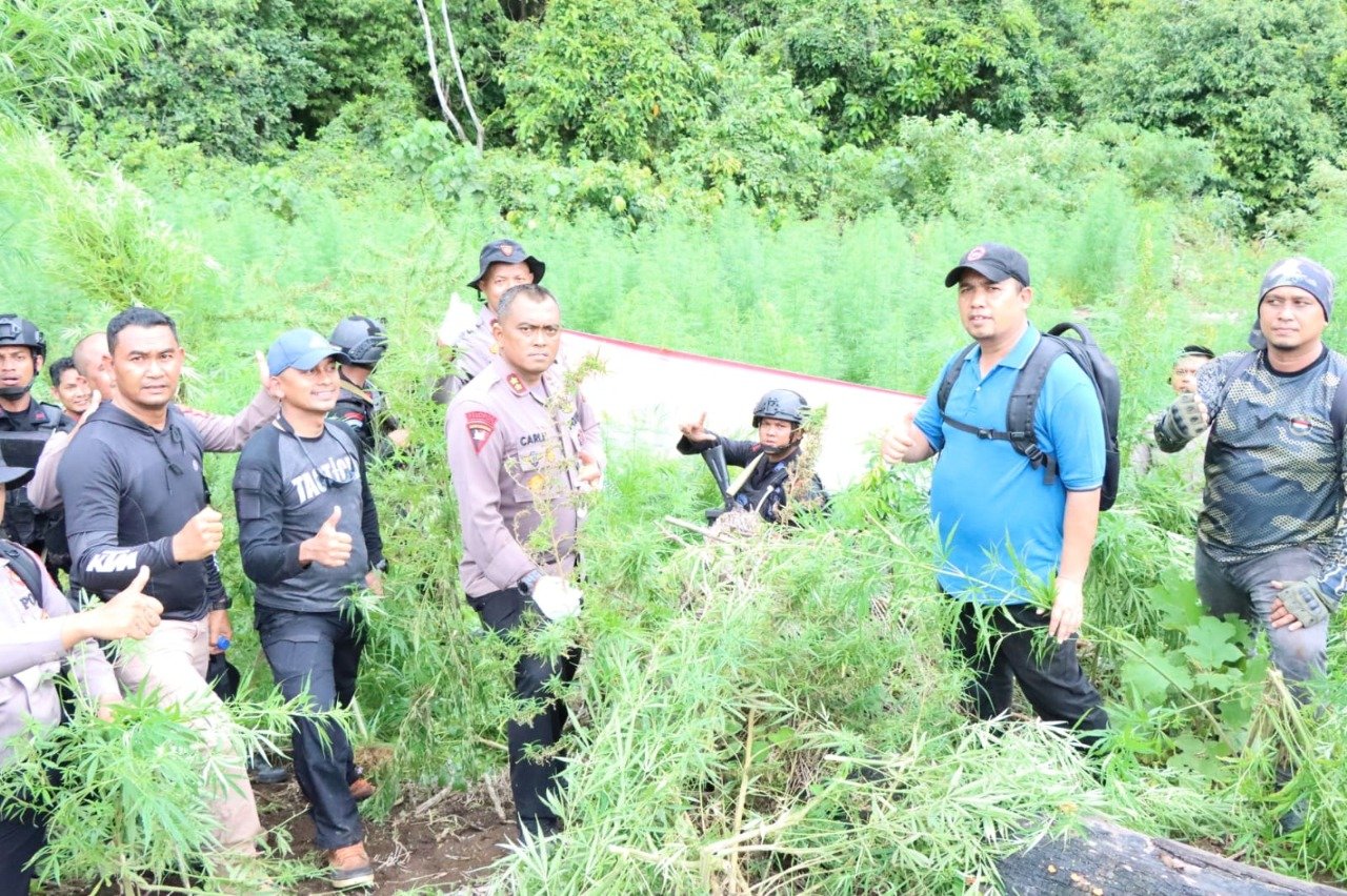 Polda Aceh musnahkan 4 Ha ladang ganja