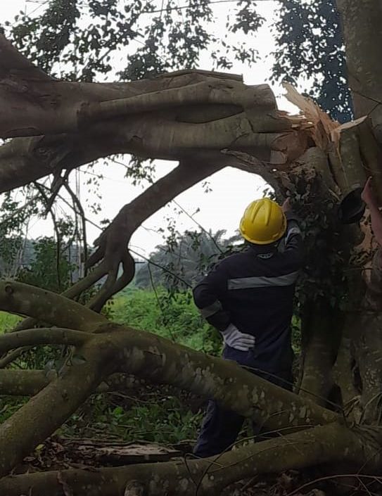 Petugas ground patrol PLN UPT Palembang, Daud Abdullah