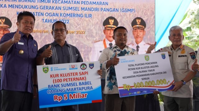 Gubernur Sumsel Herman Deru bersama Bupati OKI, H. Iskandar SE dan Direktur Utama Bank Sumsel Babel melakukan penanaman jagung di Kawasan Pilot Project Corporate Farming Plus (Korporasi Petani) di Desa Burnai Timur Kecamatan Pedamaran OKI, Kamis, (22/12)