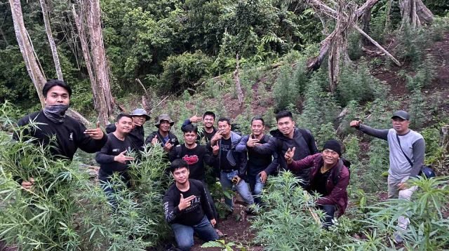 Polres Empat Lawang berhasil menemukan keberadaan ladang ganja di wilayah Talang Randai Desa Batu Jungul Kecamatan Muara Pinang, Kabupaten Empat Lawang