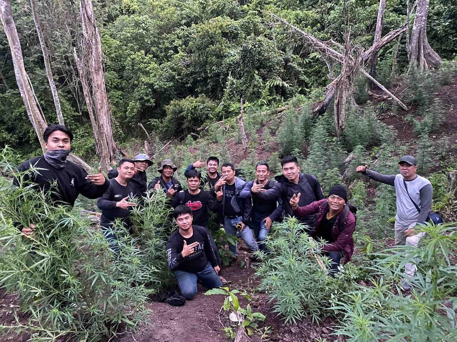 Polres Empat Lawang berhasil menemukan keberadaan ladang ganja di wilayah Talang Randai Desa Batu Jungul Kecamatan Muara Pinang, Kabupaten Empat Lawang