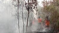 Ogan Ilir Dilanda Karhutla, 3 Desa Terdampak, Lahan 3,5 Hektare Terbakar