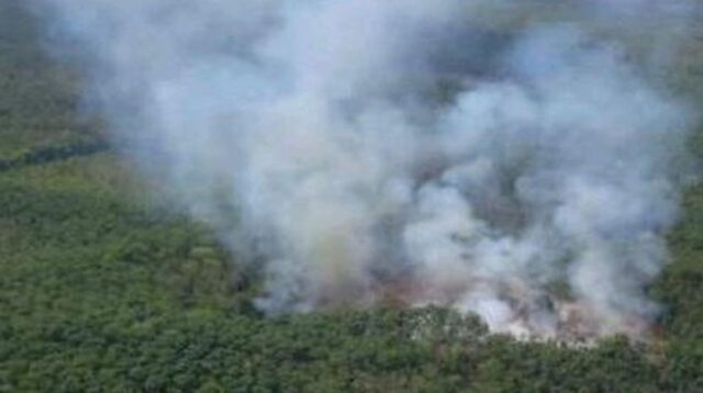 Sumatera Selatan Membara, Upaya Heroik Padamkan Karhutla di Tengah Musim Kemarau