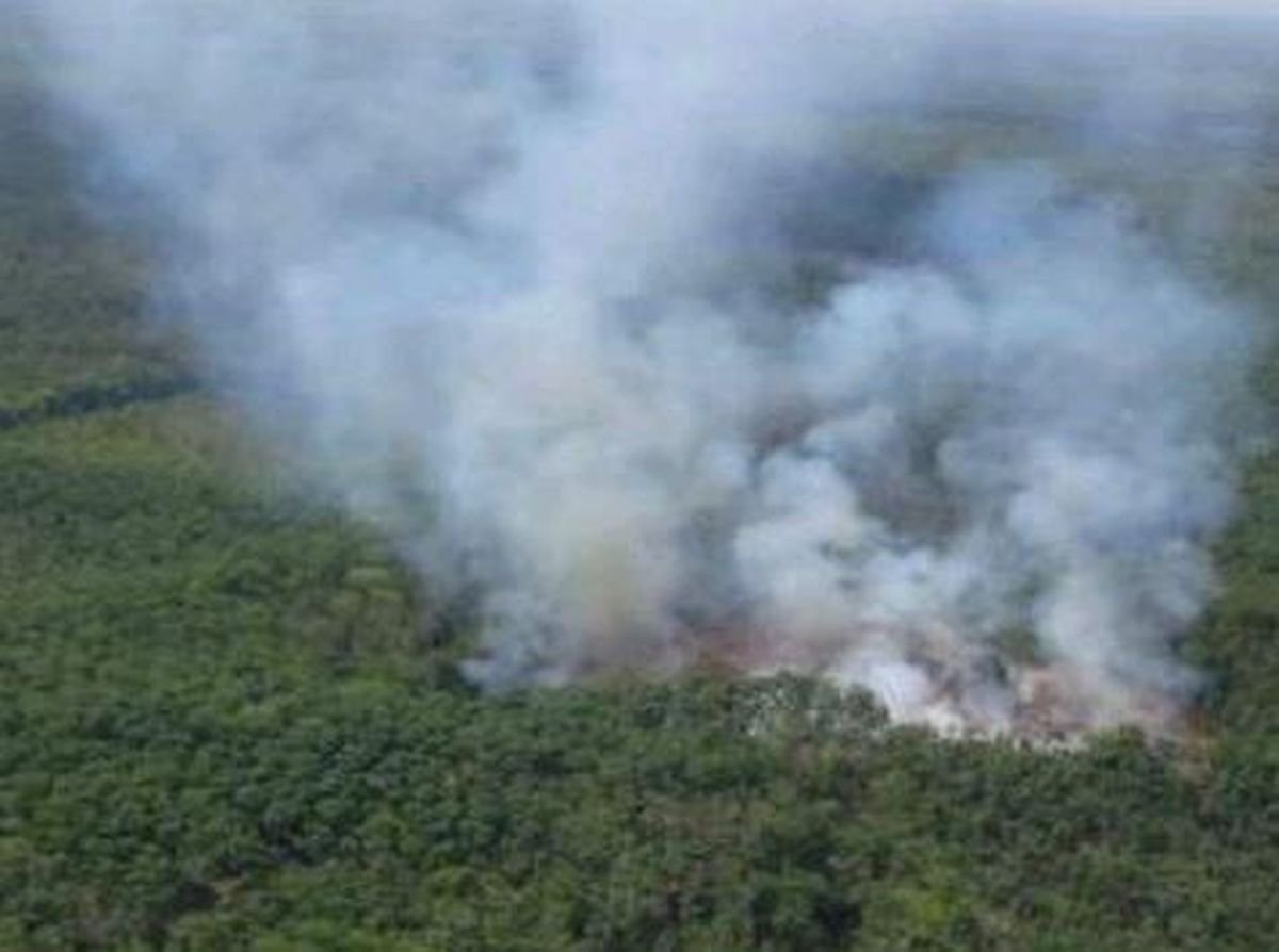 Sumatera Selatan Membara, Upaya Heroik Padamkan Karhutla di Tengah Musim Kemarau